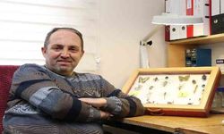 Yenilebilir böcekler gıda kıtlığına alternatif olabilir