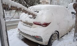 Araçlar devrilen ağaçların altında kaldı