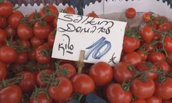 Rusya domatesi ihraç edemedi, fiyatı düştü