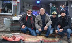 Dev yayın balığı görenleri hayrete düşürdü