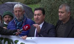 "Bu Kadar Orman Yandıktan Sonra Nefes Alınacak Ağaçlara Kıyamazsınız"