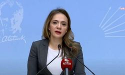 CHP'li İlgezdi: Sanatçılara Neden Yüzde 2,5 Fark 2 Aydır Yatırılmamaktadır?