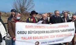 Ordulu Doğaseverler Mahkeme Kararını Astıkları Şantiyede Çalışmaları Durdurdu