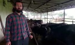 Manda Besicisi: Manda Üreticisi Olarak Cumhurbaşkanımızdan Destek Bekliyoruz
