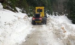 Abant-Samandere yolu trafiğe açıldı