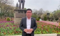 CHP'li Ahmet Kaya: Parktaki İnsanların Yüzde 90'ı Afgan, Suriyeli