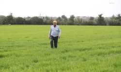 Merkezefendi'de Çiftçinin Yüzü Belediyenin Gübre Desteği İle Güldü