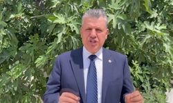 Ayhan Barut: İthalat Sevdalısı AKP İktidarı ve TMO Artık Bu İthalat Sevdasından Vazgeçin