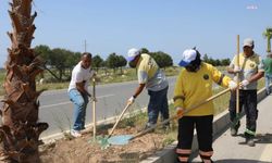 Didim Belediyesi Ağaç Dikimi ve Peyzaj Düzenlemelerine Başladı