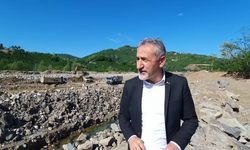 Mustafa Adıgüzel, Bakan Soylu'nun Soru Önergesine Verdiği Yanıtı Eleştirdi