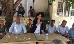 Müzeyyen Şevkin: "CHP Olarak Çiftçiye Mazotu ÖTV'siz Vereceğiz"