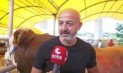 Pazara Kurbanlık Getiren Besiciler Maliyetlerden Şikayetçi