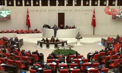TBMM'de Orman Yangınları Önergesini de AK Parti ve MHP Oylarıyla Reddetti