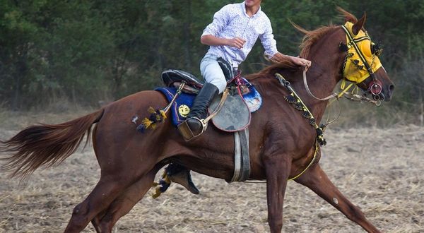 Atların çarpışması sonucu ağır yaralanan genç ciritçi yaşam mücadelesi veriyor