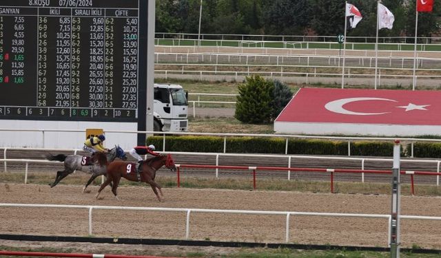 TJK'nın Nilüfer koşusunu 'Kardeşcan' kazandı