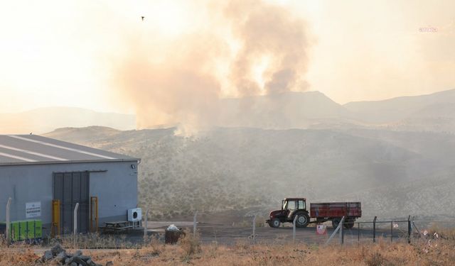 Adıyaman’da otluk alanda çıkan yangın ormanlık alana sıçradı; ekiplerin müdahalesi sürüyor