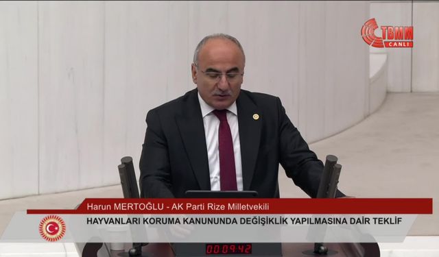 AK Parti Rize Milletvekili Mertoğlu: "Kısırlaştırmada hayvanlardan izin alınması gerekiyor"