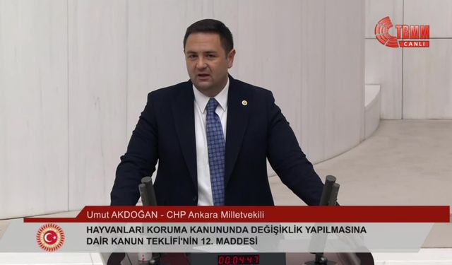 Akdoğan: "Köpek sevmezsiniz, kedi sevmezsiniz, ağaç sevmezsiniz, emekliyi sevmezsiniz. Sizin Tayyip Erdoğan dışında sevdiğiniz yok mu?"