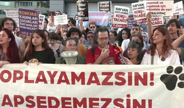 Ankara'da yaşam hakkı savunucularından protesto... "Sokaklarda kedi köpek besleyenlere karşı şiddet tırmandırılmakta"