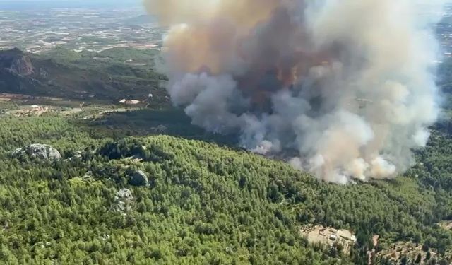 Antalya Serik'te orman yangını