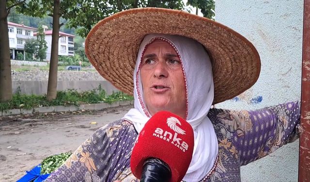 Artvin’de çay üreticileri tepkili:  "Böyle bir ıstırap görmemiştim. 9 liradan çay alıyorlar, biz çalışanlara 7 lira veriyoruz. Kaç lira kalacak bize?"