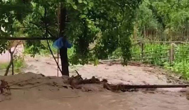 Artvin'in Tosunlu köyünde ekili tarım arazileri aşırı yağıştan zarar gördü... Sevim Pehlivan: "Bütün yaz boyu çalışıp ekip diktiğimiz her şeyi sel aldı gitti”