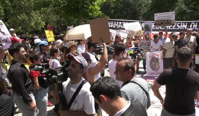 Barolar ve hayvanseverlerden Kuğulu Park'ta 'ötanazi' protestosu: "Yaşam hakkını korumak mümkünken, öldürmeyi seçmek; yalnızca zalim bir tercihin sonucudur"