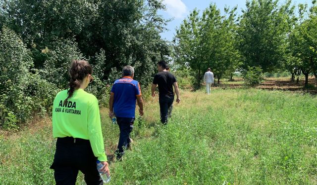 Bilecik’te hayvan otlatmaya çıktıktan sonra geri dönmeyen şahıs aranıyor