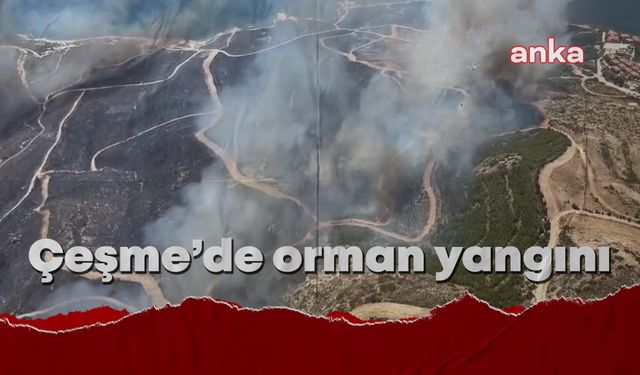 Çeşme'deki orman yangınında 3 kişi yaşamını yitirdi