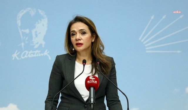 CHP İstanbul Milletvekili İlgezdi: "Milli Eğitim Bakanı'nın derdi yerli olmak, milli olmak değil"