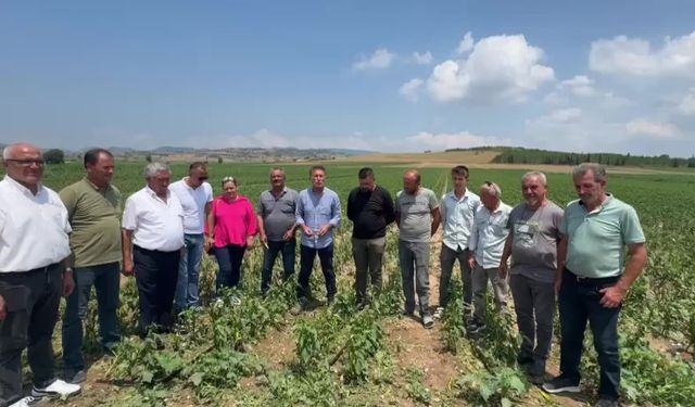 CHP’li Sarıbal dolunun vurduğu tarım alanlarını ziyaret etti: Zorunlu tarım sigortası devreye sokulmalı