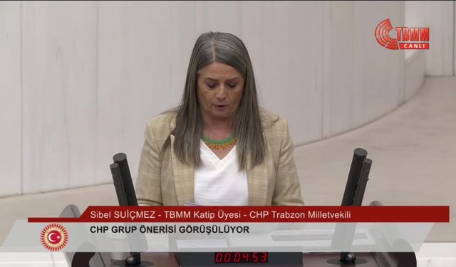 CHP'nin 'hayvan haklarının korunmasında ortaya çıkan sorunların tüm yönleriyle araştırılması' önerisi reddedildi