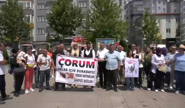 Çorum'da hayvanseverler, sokak hayvanlarıyla ilgili kanun teklifini protesto etti: "Bu kan kokan yasa teklifi geri çevrilmelidir"