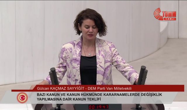 DEM Partili Sayyiğit: "Sarayın bir dakikalık harcaması 2 asgari ücretlinin maaşı"