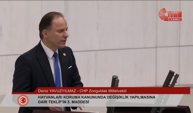 Deniz Yavuzyılmaz: "Her seferinde tehlikeli diyerek tüm sokak hayvanlarını öldürmek istiyorsunuz"