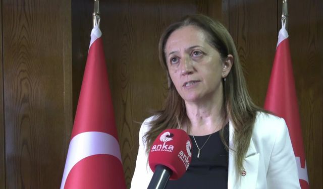 DİSK Genel Başkanı Çerkezoğlu: Çalışma ve Sosyal Güvenlik Bakanlığı'na Dev Sağlık-İş'le ilgili itirazımızı yaptık