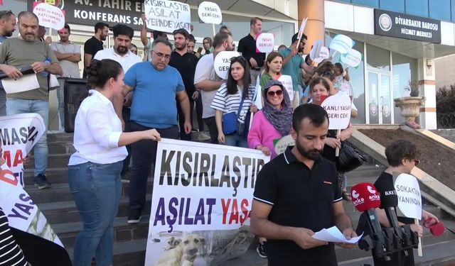 Diyarbakır’da sokak hayvanları yasa tasarısına tepki: “Toplayamazsın, öldüremezsin, hapsedemezsin”