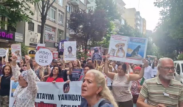 Eskişehir’de sokak hayvanları için yapılan yürüyüşte gerginlik çıktı