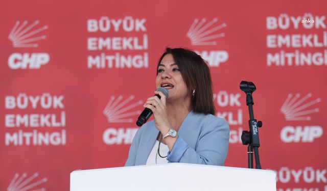 Gamze Taşcıer: "Kadınları birey olarak görmeyen AKP aklımızla alay ediyor" 