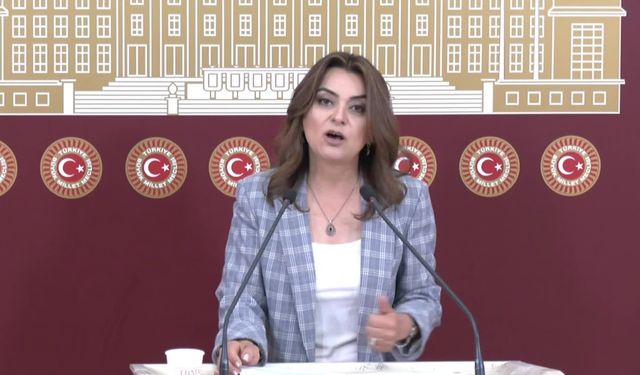 Gülüstan Kılıç Koçyiğit: Emekliye ayıracakları kaynakları, sermayeye, yandaşlara kaymak yaptılar