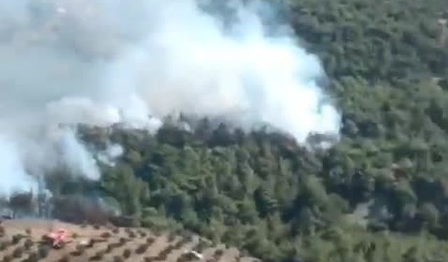 Hatay'ın Belen ilçesinde orman yangını 