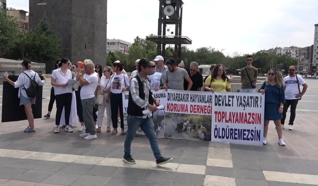 Hayvan hakları savunucuları Diyarbakır'dan seslendi: ''Bu kanun teklifi, kan kokuyor. Andımız olsun ki size bu hayvanları öldürtmeyeceğiz''