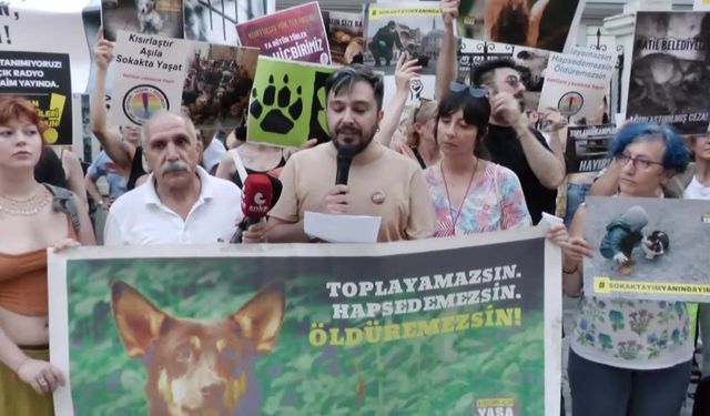 Hayvan hakları savunucuları, yasa teklifini Kadıköy'de protesto etti: Köpeklerin 'başıboş' denilerek canavarlaştırılmasına izin vermiyoruz 