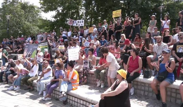 Hayvan hakları savunucularından "ötanazi" protestosu: "Kediyi, köpeği ötanazi edelim gibi bir olayı, ben Kuran'ın ve imanımın neresine sığdırabilirim"