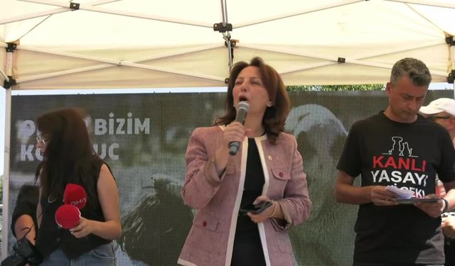 Hayvanseverler Anıtpark'ta eylemde:  "Bu yasa tasarısını reddetmeli, onların refahını sağlayacak düzenlemeler için hep birlikte çalışmalıyız"