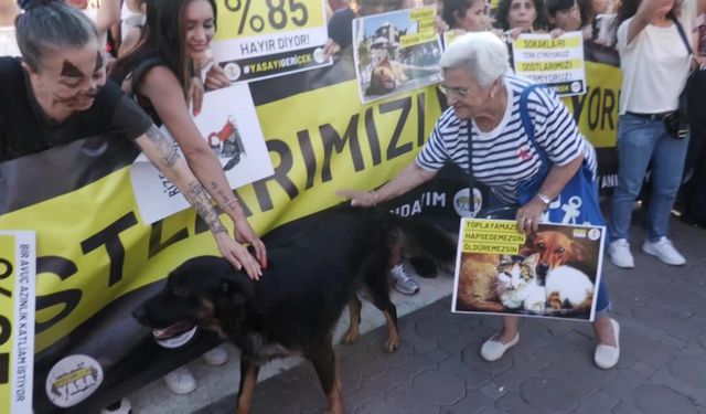 Hayvanseverler Kadıköy'den haykırdı: "Tek bir dostumuzun tüyüne dokundurmayacağız!"