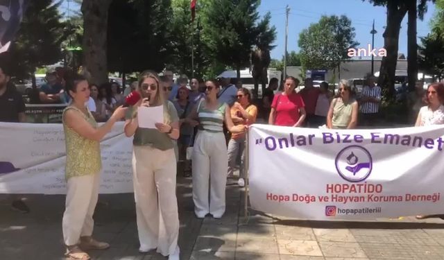 Hopa'da hayvanseverler, sahipsiz hayvanlara ötanazi getiren kanun teklifini protesto etti