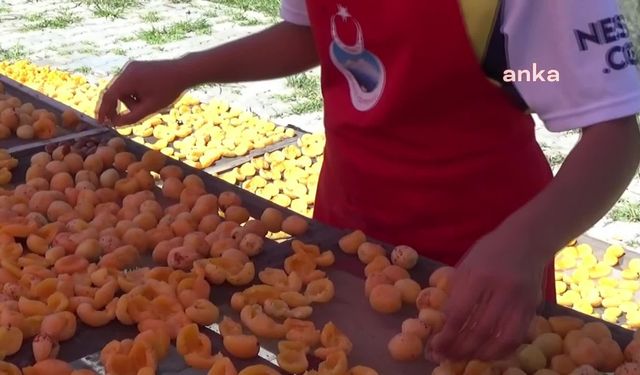 Iğdır'da kadın kooperatifi, kayısıları kurutarak ekonomiye kazandırıyor