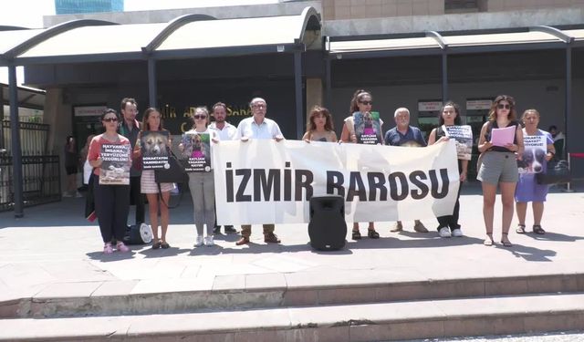 İzmir Barosu’ndan ''sokak hayvanları'' için getirilecek kanun teklifine tepki: Büyük bir katliamın ayak sesleri