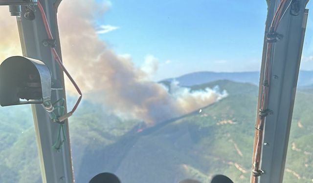 İzmir Bergama'da orman yangını çıktı